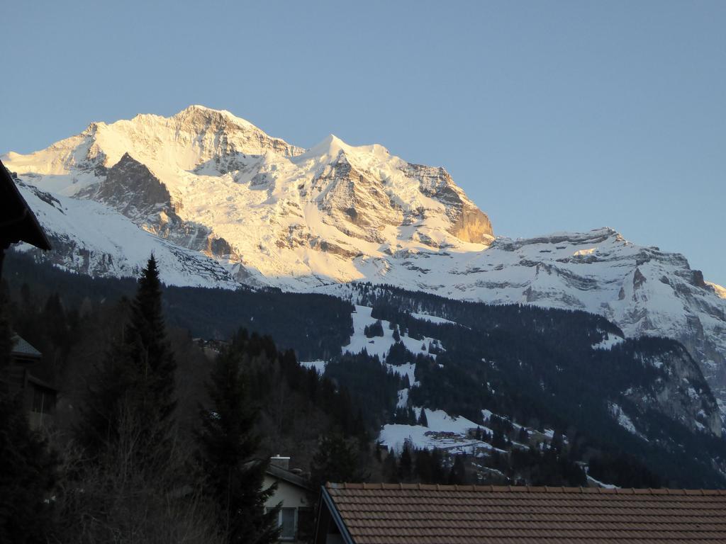 Ferienwohnung Chalet Gerbera Wengen Zimmer foto